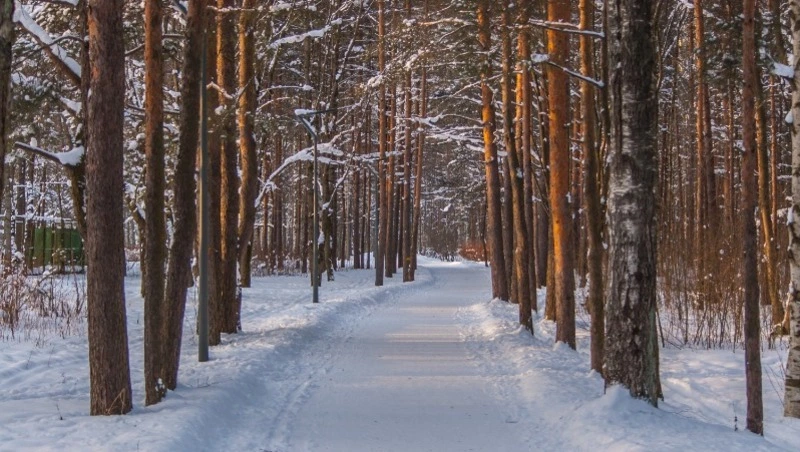 Народные приметы на 19 февраля 2024 — что нельзя делать в этот день