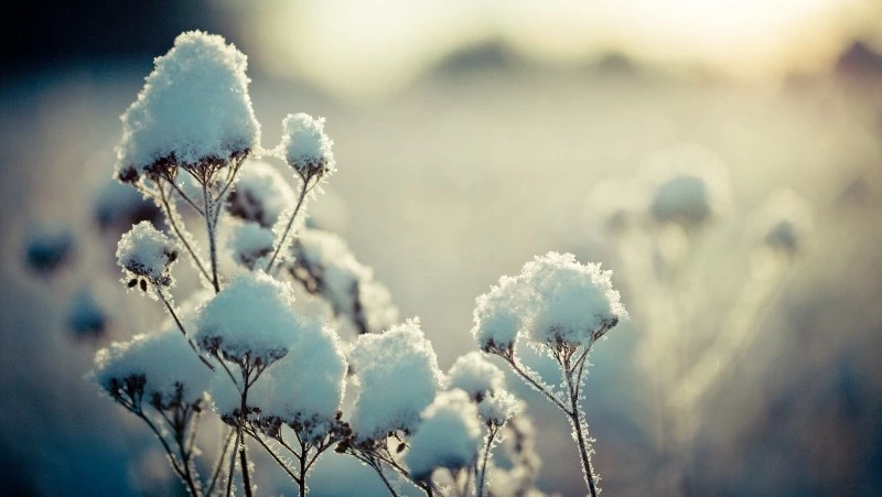 Народные приметы на 12 января 2024 — что нельзя делать в этот день