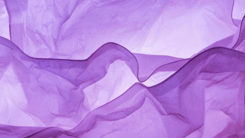 26 марта 2024 года: какой сегодня праздник  