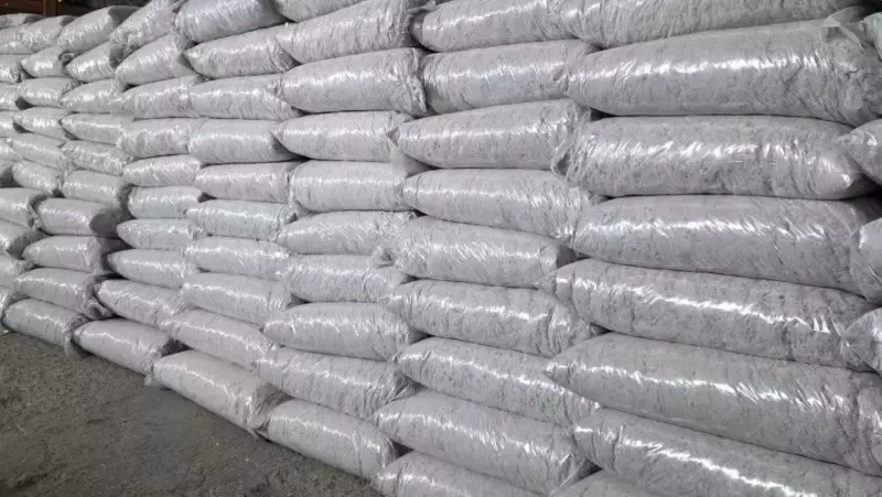 Старые книги на стройку: на Сахалине ветхую литературу превращают в утеплитель