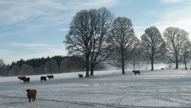 Народные приметы на 5 января 2024 — что нельзя делать в этот день