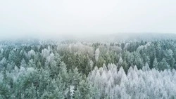 Озвучен прогноз погоды в Сахалинской области на 6 февраля  