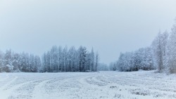 Небольшой снег и ветер ожидаются на Сахалине и Курилах 3 февраля  