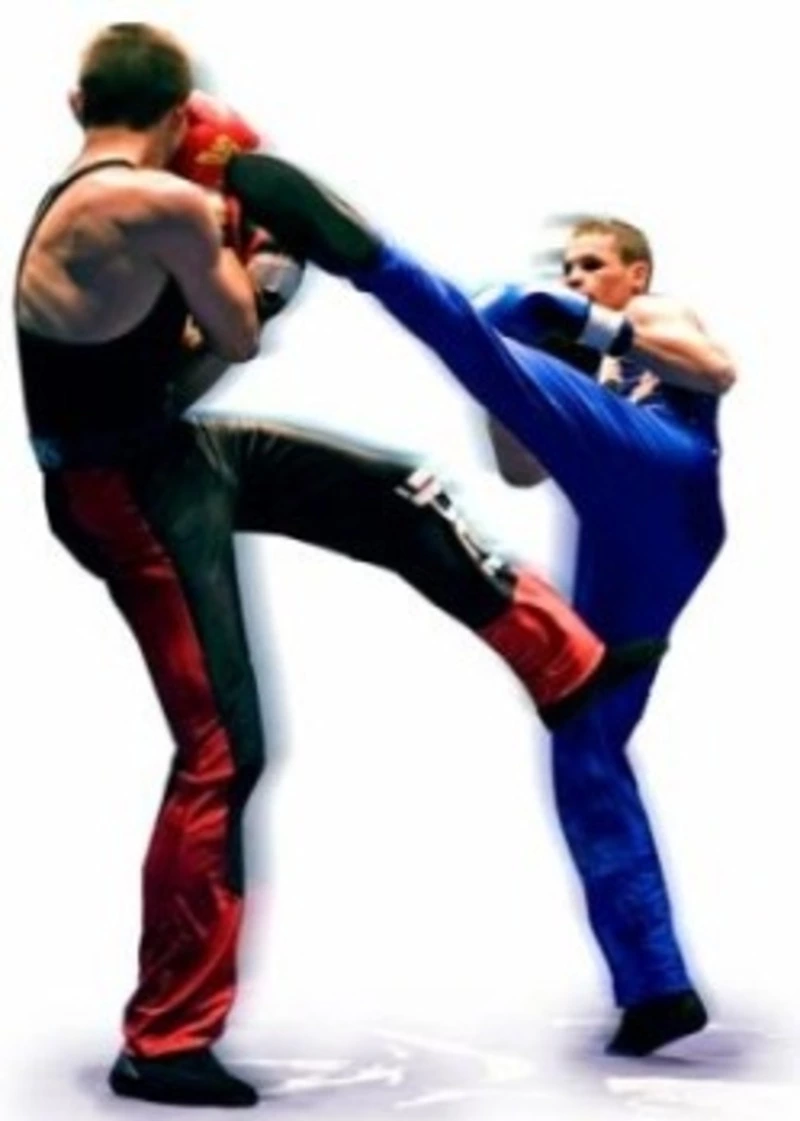 Региональный  турнир по савату