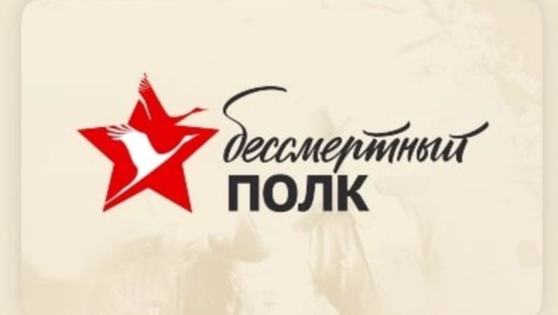 Бессмертный полк России подвел итоги 2022 года в онлайн-формате