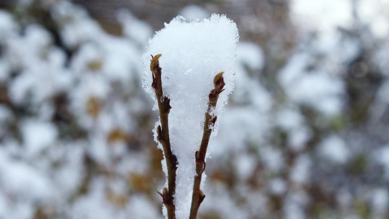 Народные приметы 10 марта 2024 — что нельзя делать в этот день 