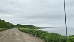 Жару сменят дожди: синоптики дали прогноз погоды в Сахалинской области на неделю   