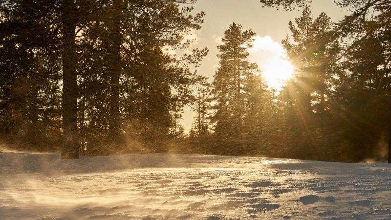 Народные приметы 24 марта 2024 — что нельзя делать в этот день