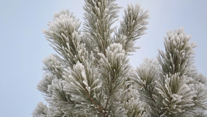 Народные приметы на 1 января 2024 — что нельзя делать в этот день