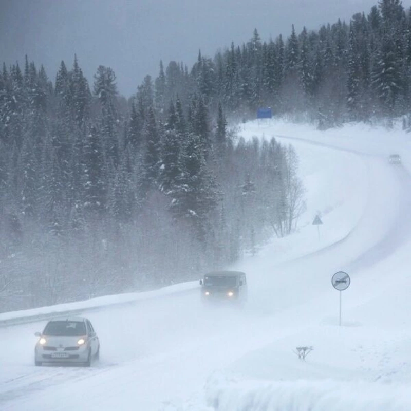 Зима началась… 