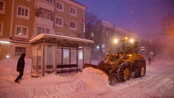 Циклон и сильный снег: прогноз погоды в Сахалинской области на неделю 