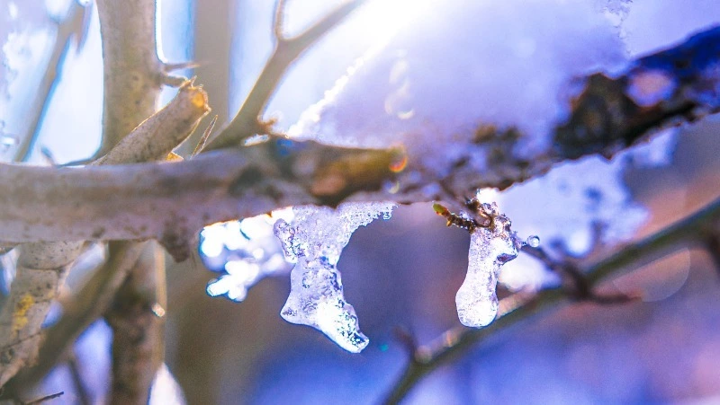 Умеренные осадки и до -30 градусов: погода на Сахалине и Курилах 20 февраля