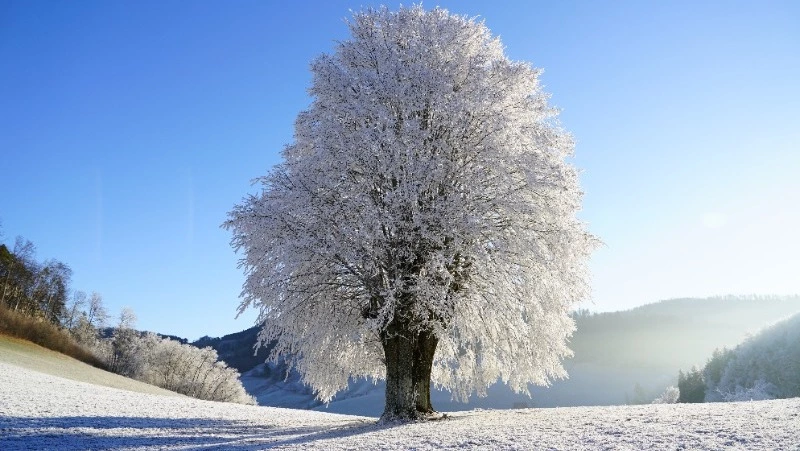 Народные приметы на 10 декабря 2023 — что нельзя делать в этот день