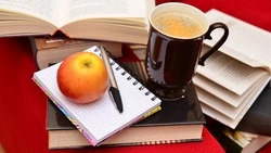 Вы бы сдали ЕГЭ по русскому на «отлично», если осилите 8/8 — ТЕСТ 