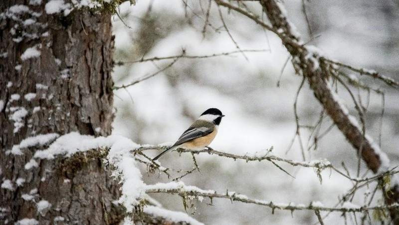 Народные приметы на 3 февраля 2024 — что нельзя делать в этот день 