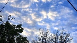 Теплый воздух и туман: прогноз погоды в Сахалинской области на 15 августа