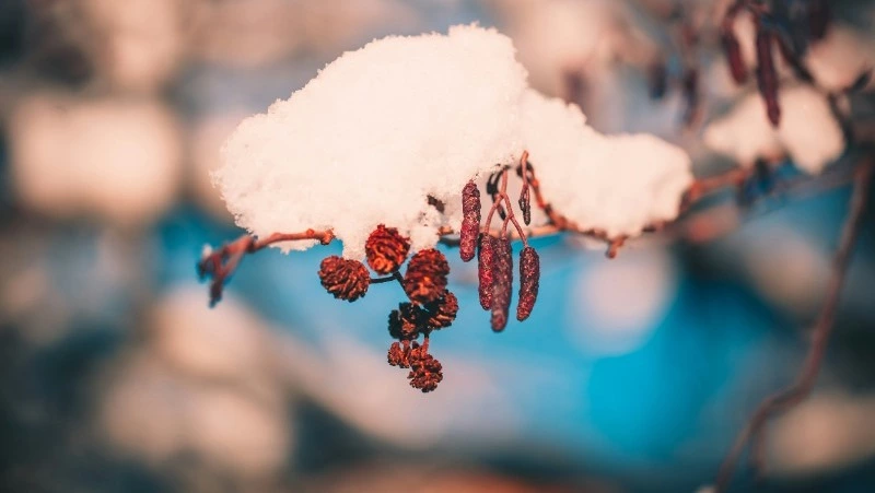 Народные приметы на 4 февраля 2024 — что нельзя делать в этот день