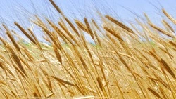 Народные приметы на 29 июля 2024: традиции, поверья, что нельзя делать  