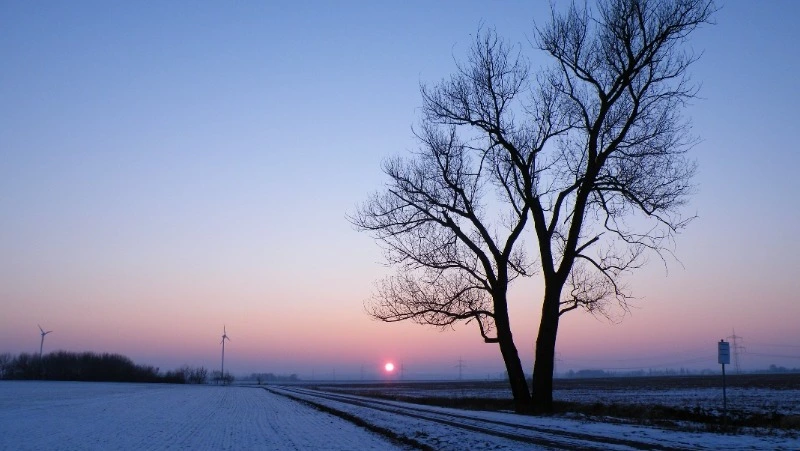 Народные приметы на 29 декабря 2023 — что нельзя делать в этот день