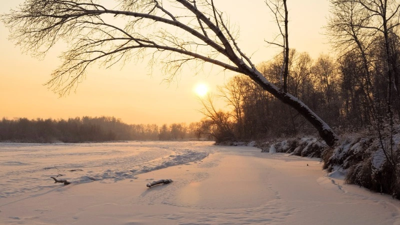 Народные приметы на 29 марта 2024 — что нельзя делать в этот день 