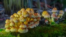 Народные приметы на 21 августа 2024: традиции, поверья, что нельзя делать