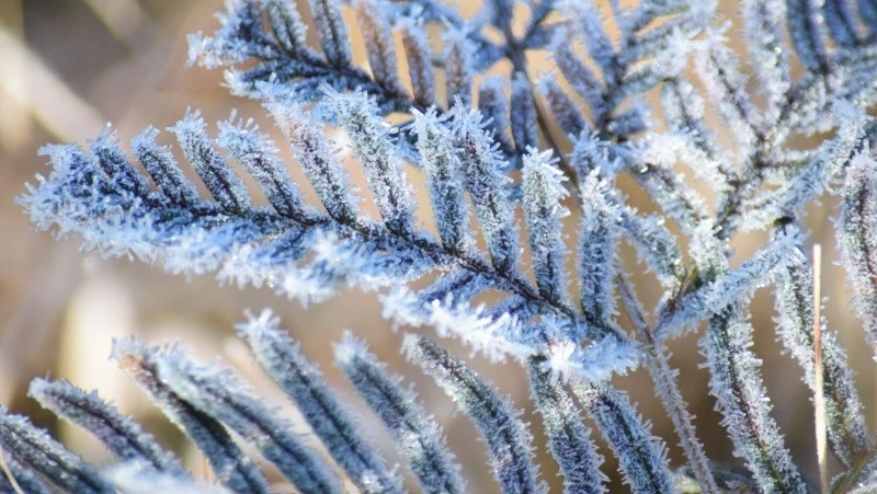 Церковный праздник 9 января 2024: что строго нельзя в этот день, приметы