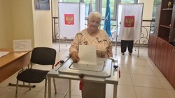 Эксперт: выборы губернатора Сахалинской области проходят штатно