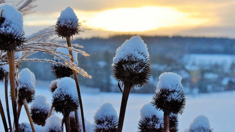 Народные приметы на 26 января 2024 — что нельзя делать в этот день