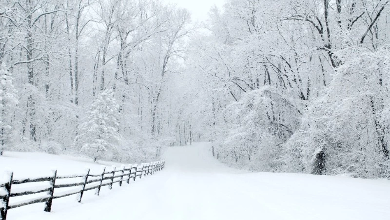 Снег и сильный мороз обрушатся на Сахалин и Курилы 11 января 