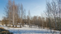 Осадки и ветер до 20 м/с ожидаются в Сахалинской области 10 апреля  
