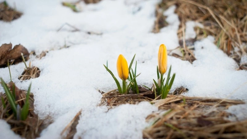 Народные приметы на 20 марта 2024 — что нельзя делать в этот день  