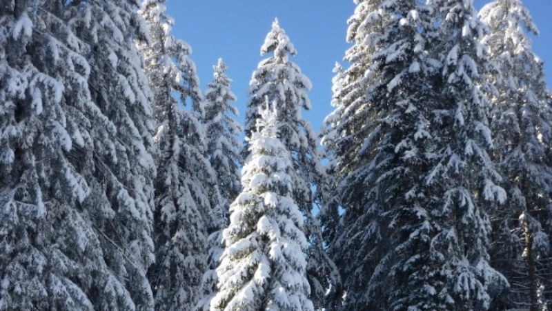 Народные приметы на 3 января 2024 — что нельзя делать в этот день