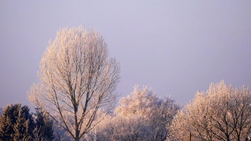 Церковный праздник 25 января 2024: что строго нельзя в этот день, приметы
