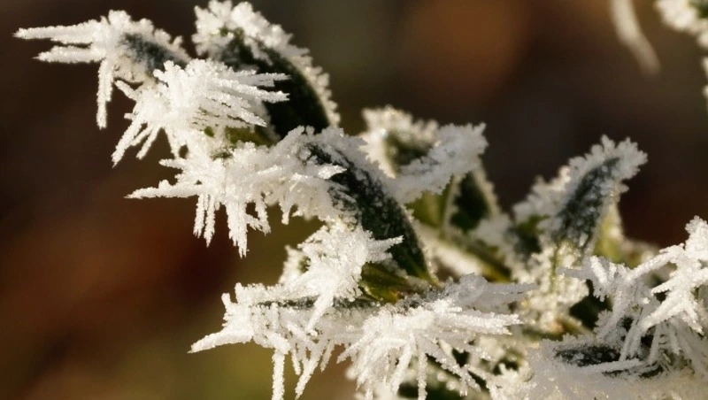 Народные приметы на 28 ноября 2023 — что нельзя делать в этот день