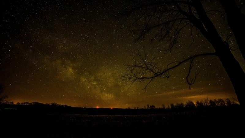 Гороскоп на 11 февраля 2024: что обещают астрологи