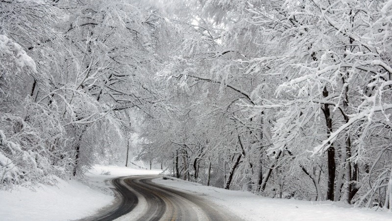 Морозы и осадки ожидаются на Сахалине и Курилах на предстоящей неделе