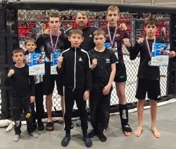 Турнир по  смешанным  единоборствам (MMA)
