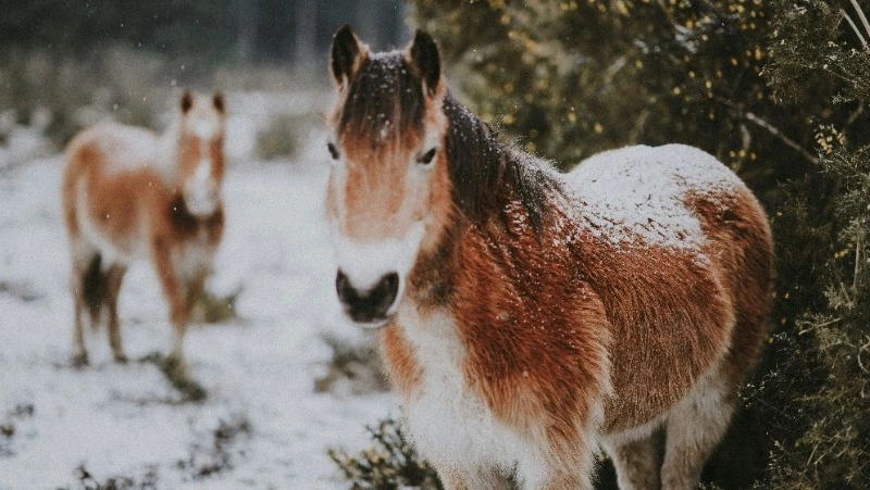 Народные приметы 25 марта 2024 — что нельзя делать в этот день