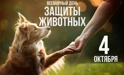 Всемирный день защиты животных 2024: картинки с поздравлениями 