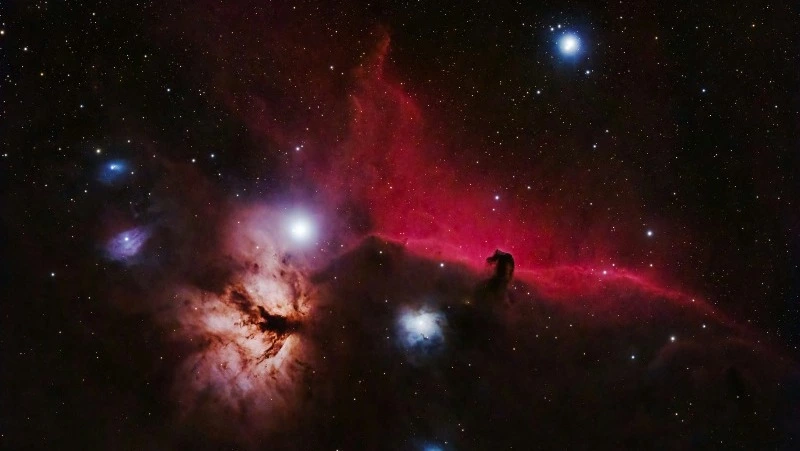 Гороскоп на 3 февраля 2024: что обещают астрологи