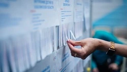 Федеральный этап Всероссийской ярмарки трудоустройства пройдет на Сахалине 26 июня