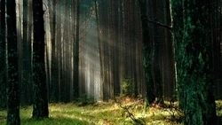 Народные приметы на 24 августа 2024: традиции, поверья, что нельзя делать