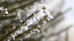 Народные приметы на 3 декабря 2023 — что нельзя делать в этот день