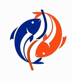 Где купить свежую рыбу?
