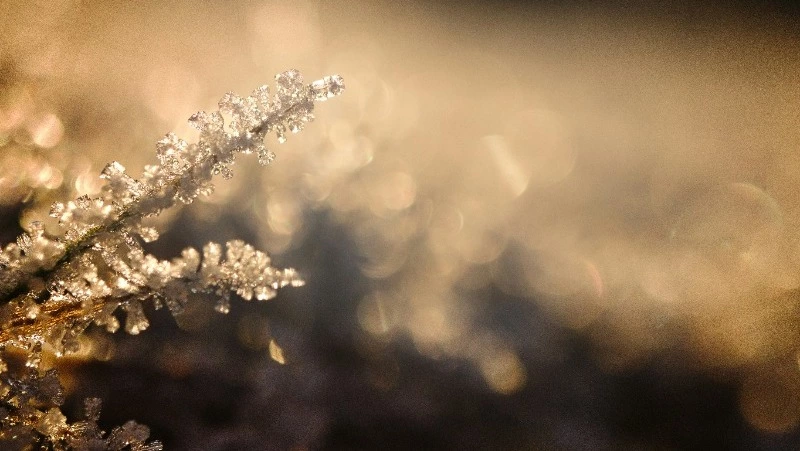 Прогноз погоды на Сахалине и Курилах на 19 марта