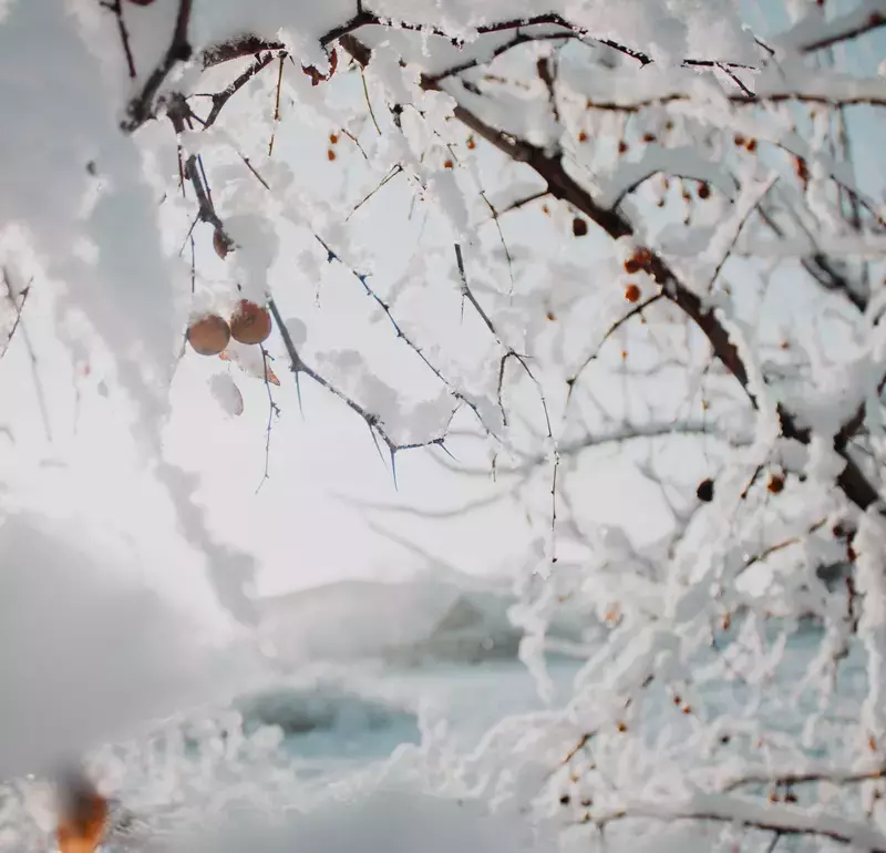 Церковный праздник 9 января 2025: что нельзя делать в этот день, приметы