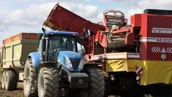 Сахалинские аграрии собрали урожай больше, чем в прошлом году