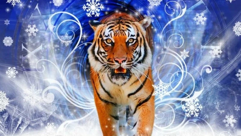 Как встречать Новый 2022 год