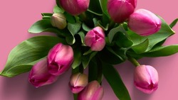 Что подарить женщине на 8 марта: ТОП-6 оригинальных идей              