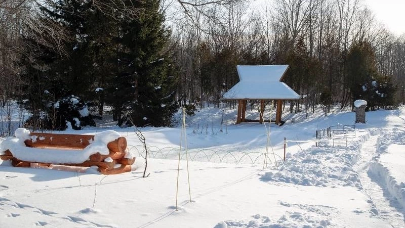 Ботанический сад преображают в современное пространство для отдыха и туризма